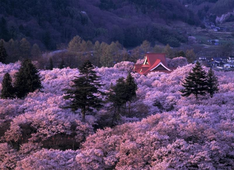 Guesthouse Yadoyadoya Miyada Kültér fotó